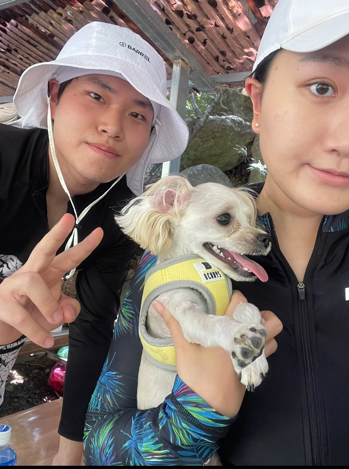 우리 젤리랑 같이 놀러갔을때야야 내가 졸라서 델꼬 계곡 갔는데 넌 많이 힘들었겠지만 난 재밌었어